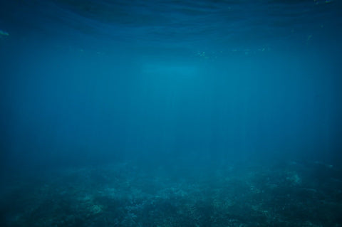 海がどれだけ深くて、そこはどういう世界なのか私たちは知らない