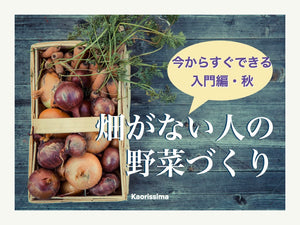 【動画】秋から始めよう！ 畑がない人の野菜づくり・超入門