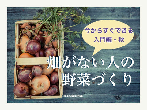 【動画】秋から始めよう！ 畑がない人の野菜づくり・超入門